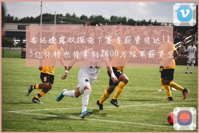 名记透露双探花下赛季薪资将达115亿怀特也将拿到2800万绿军薪资空间依旧紧张